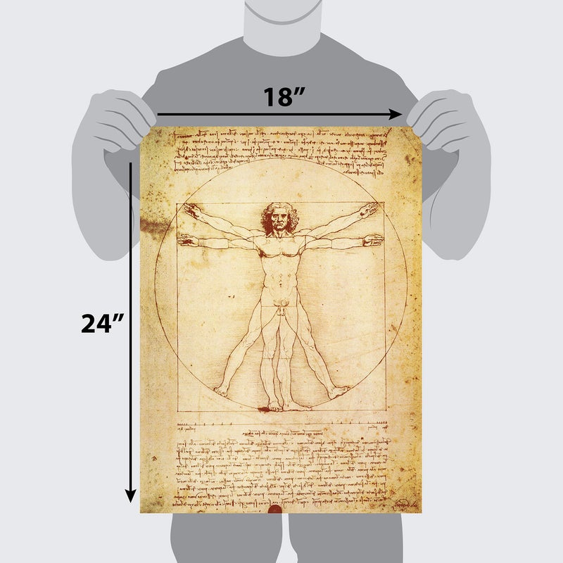 Palace Learning Vitruvian Man by Leonardo Da Vinci Poster - Proportions of the Human Figure Drawing - Fine Art Print (LAMINATED, 18" x 24") - Image 2